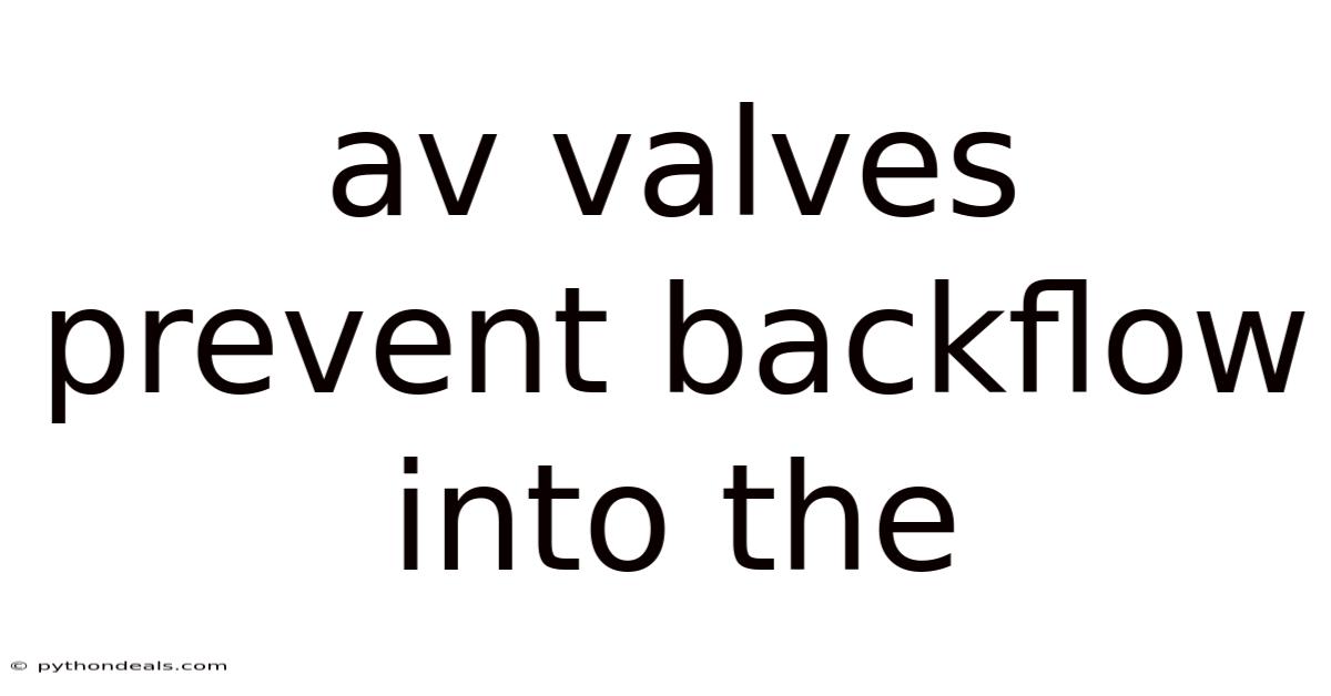 Av Valves Prevent Backflow Into The