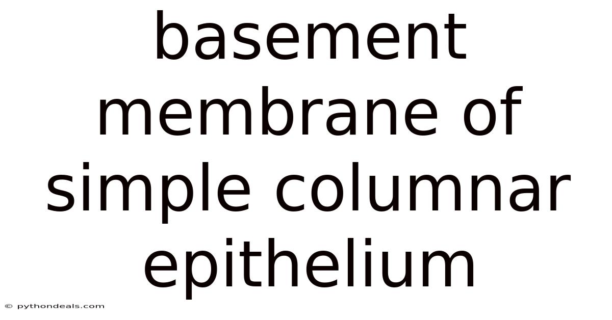 Basement Membrane Of Simple Columnar Epithelium