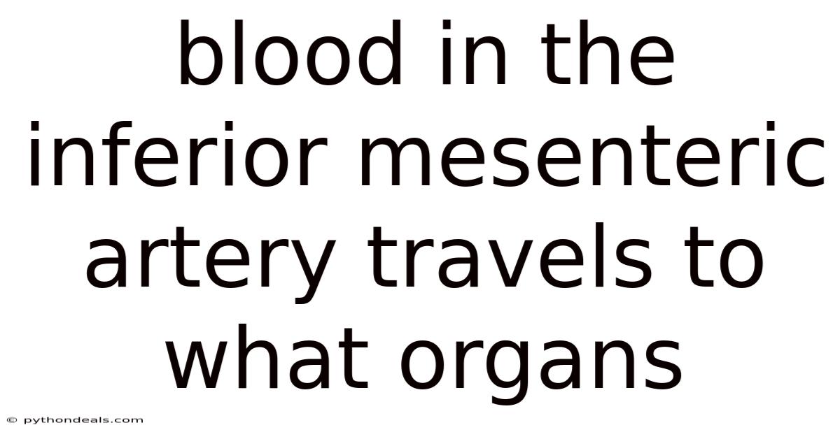 Blood In The Inferior Mesenteric Artery Travels To What Organs