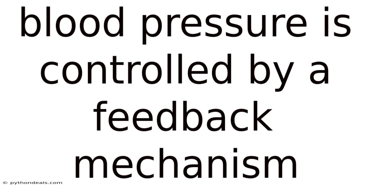 Blood Pressure Is Controlled By A Feedback Mechanism