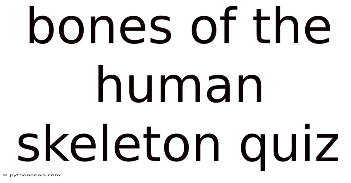 Bones Of The Human Skeleton Quiz
