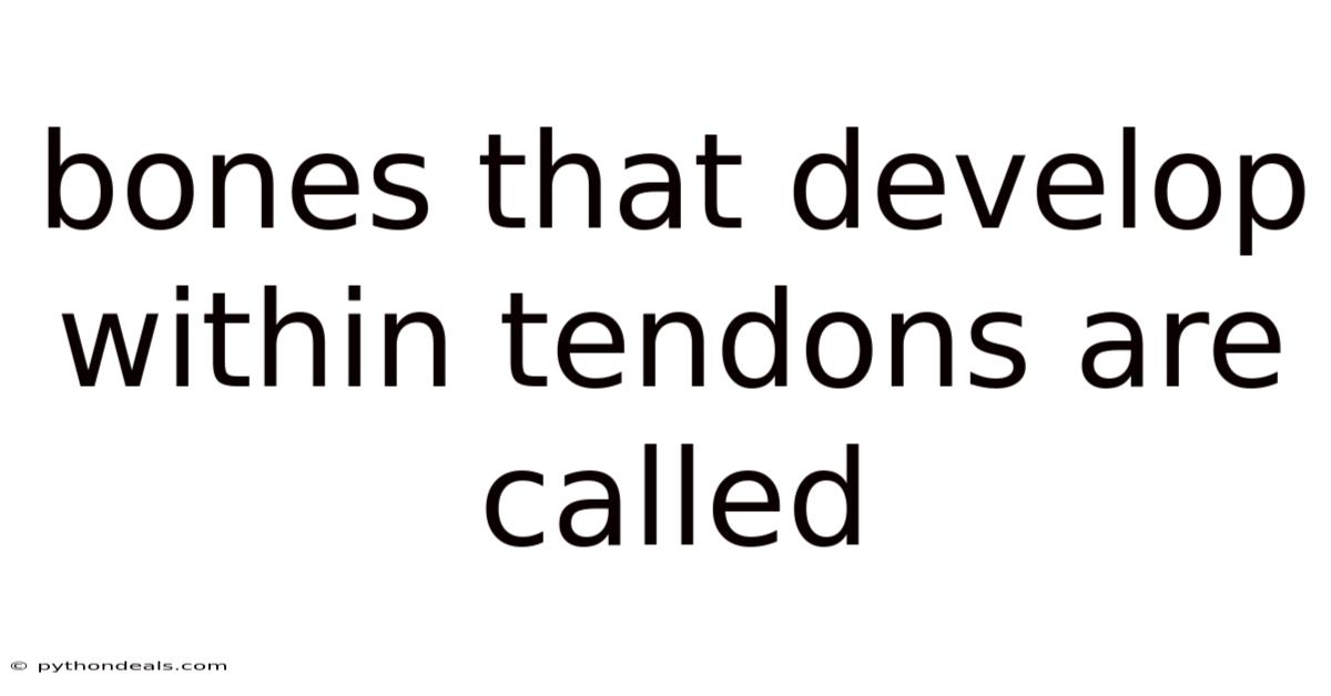 Bones That Develop Within Tendons Are Called