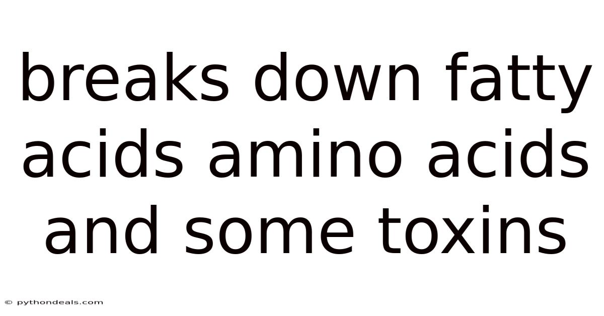 Breaks Down Fatty Acids Amino Acids And Some Toxins