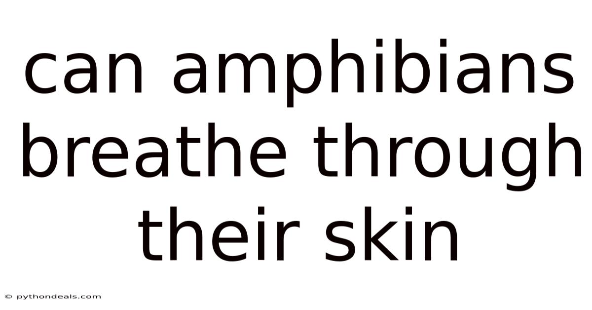 Can Amphibians Breathe Through Their Skin