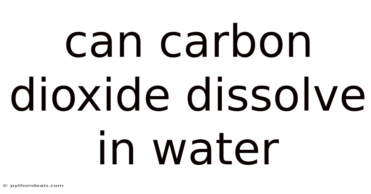 Can Carbon Dioxide Dissolve In Water