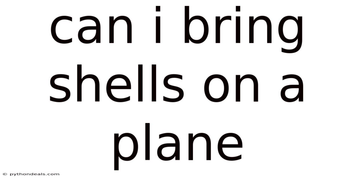 Can I Bring Shells On A Plane