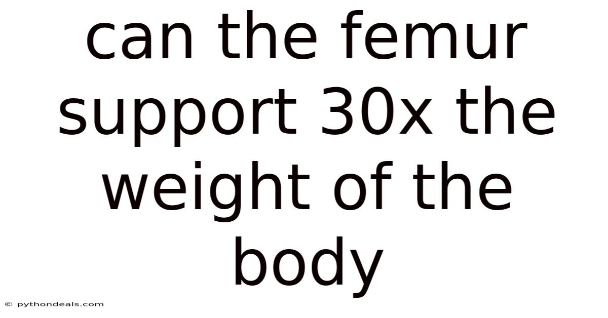 Can The Femur Support 30x The Weight Of The Body