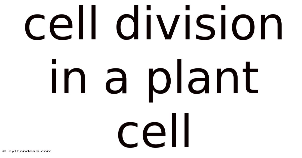 Cell Division In A Plant Cell