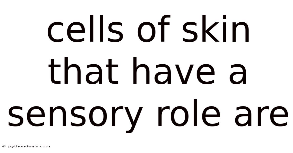 Cells Of Skin That Have A Sensory Role Are