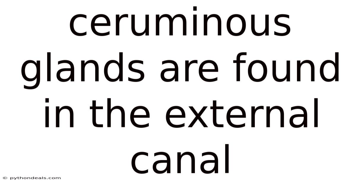 Ceruminous Glands Are Found In The External Canal