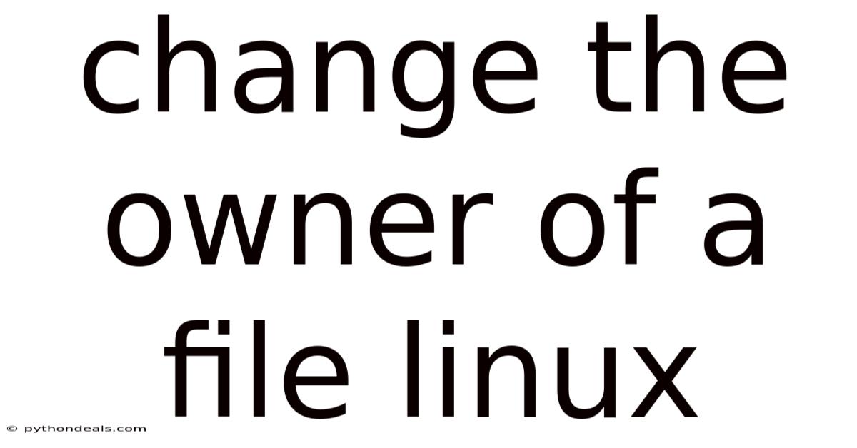 Change The Owner Of A File Linux