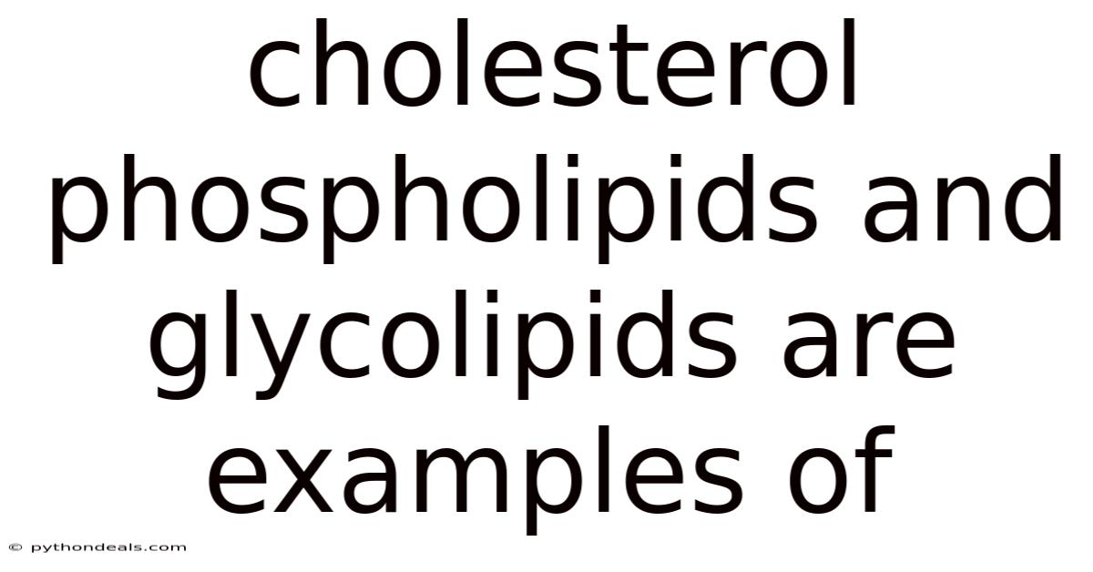 Cholesterol Phospholipids And Glycolipids Are Examples Of