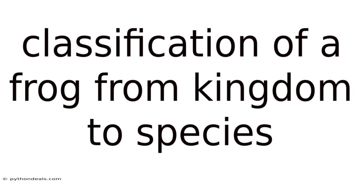 Classification Of A Frog From Kingdom To Species