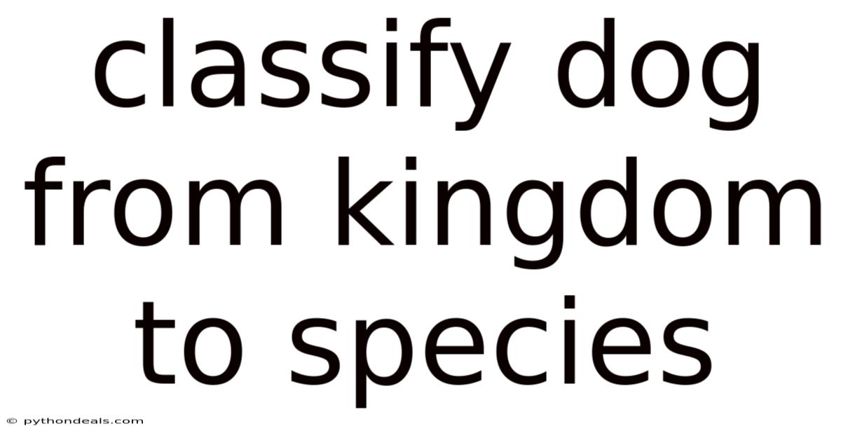 Classify Dog From Kingdom To Species