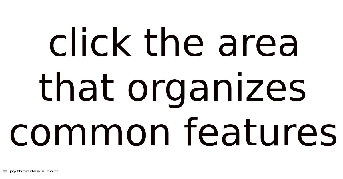 Click The Area That Organizes Common Features