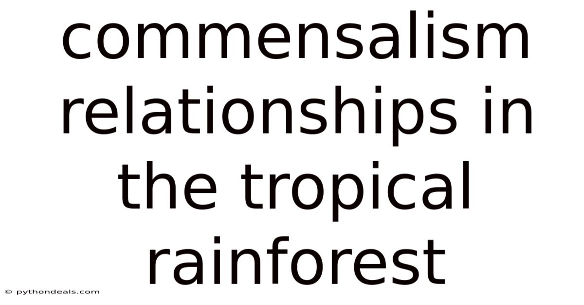 Commensalism Relationships In The Tropical Rainforest