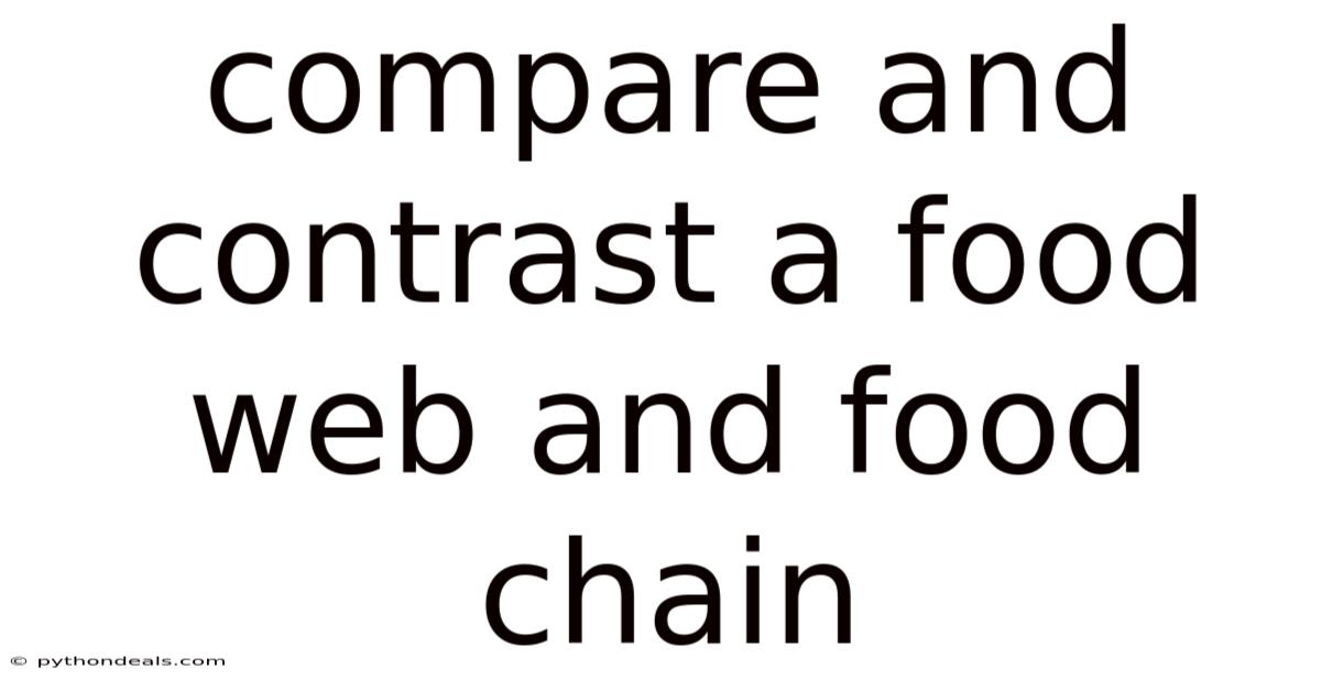 Compare And Contrast A Food Web And Food Chain