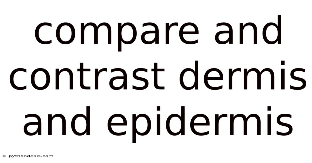 Compare And Contrast Dermis And Epidermis