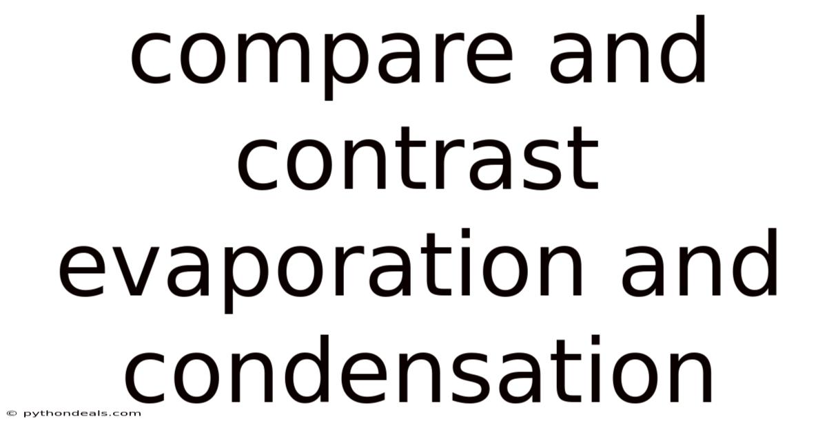 Compare And Contrast Evaporation And Condensation