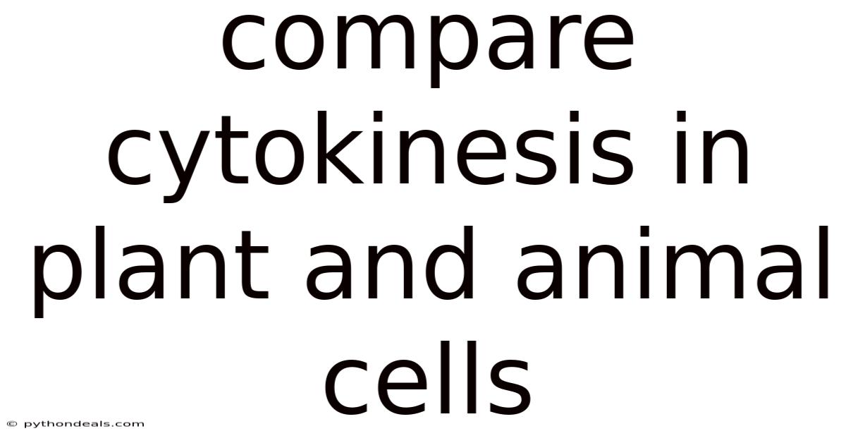 Compare Cytokinesis In Plant And Animal Cells