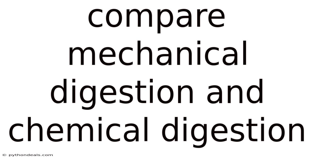 Compare Mechanical Digestion And Chemical Digestion