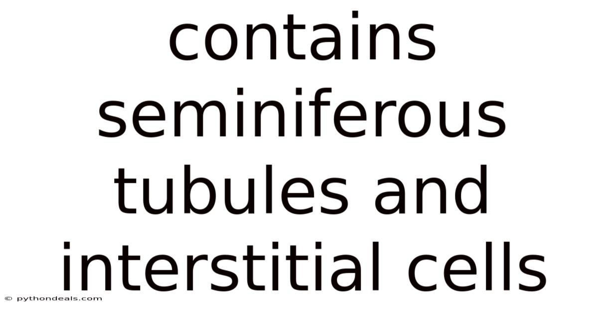 Contains Seminiferous Tubules And Interstitial Cells