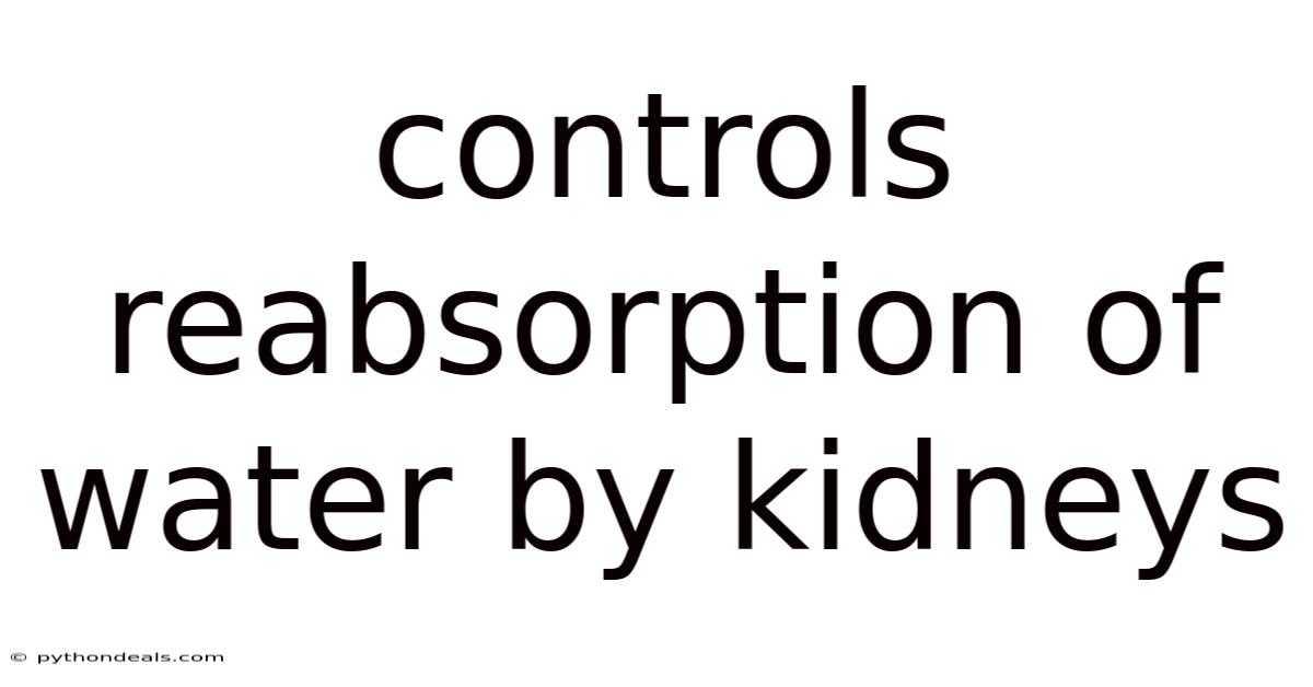 Controls Reabsorption Of Water By Kidneys