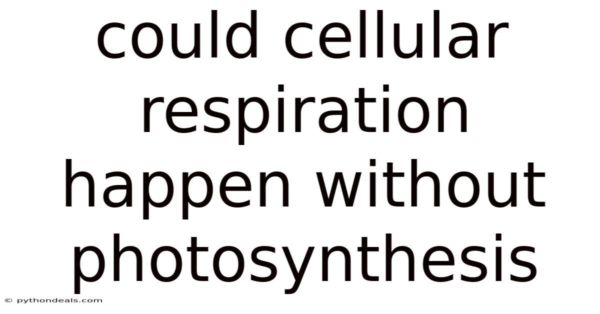 Could Cellular Respiration Happen Without Photosynthesis