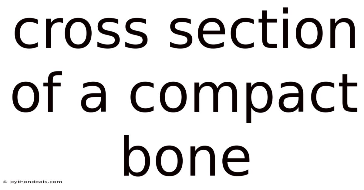 Cross Section Of A Compact Bone