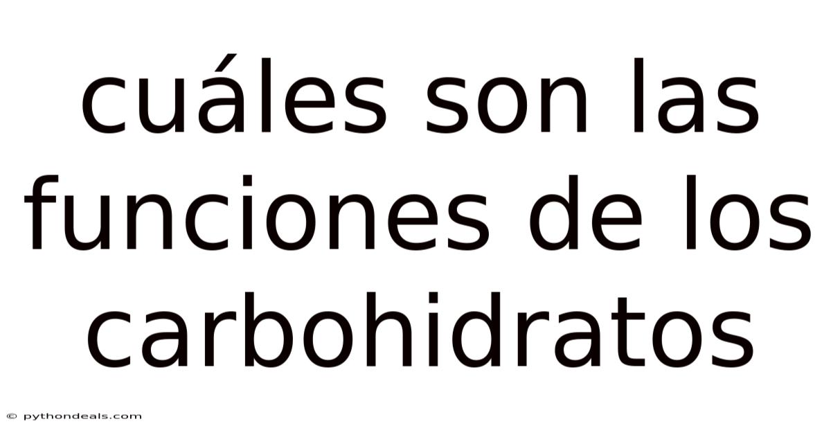Cuáles Son Las Funciones De Los Carbohidratos