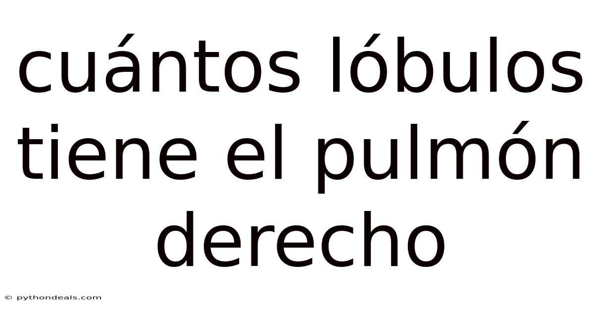 Cuántos Lóbulos Tiene El Pulmón Derecho