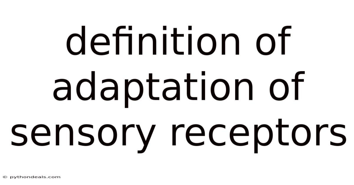 Definition Of Adaptation Of Sensory Receptors