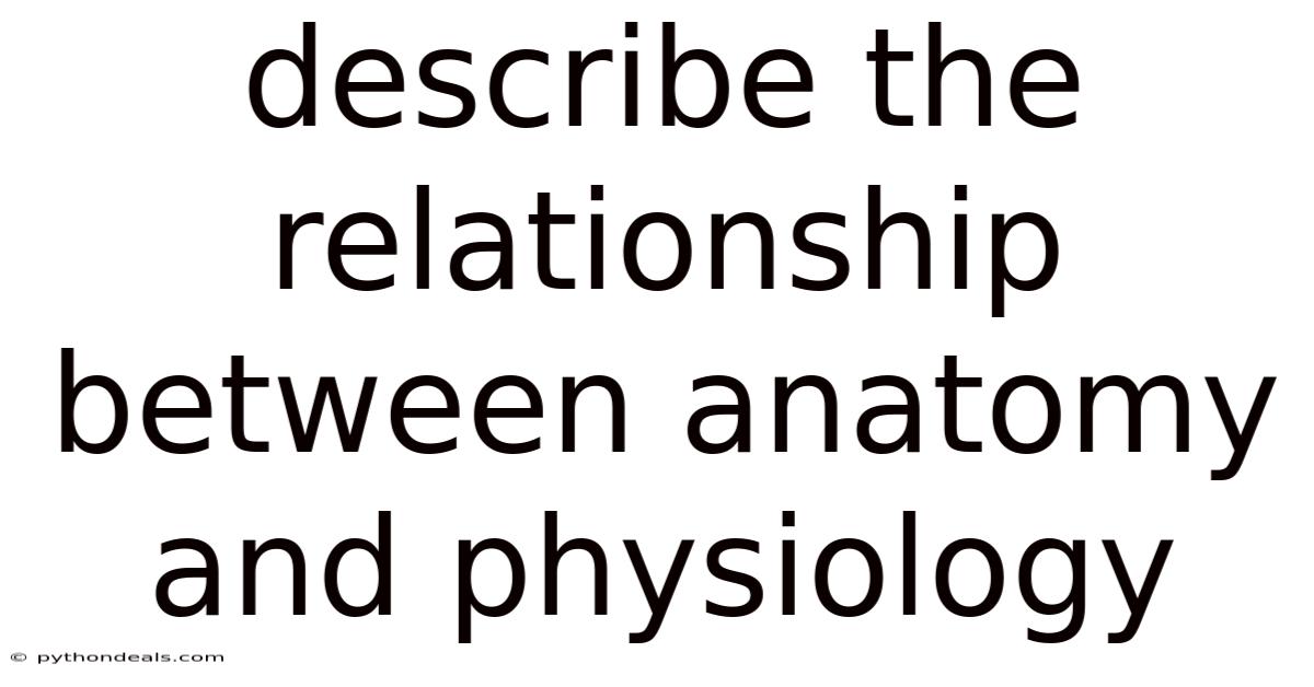 Describe The Relationship Between Anatomy And Physiology