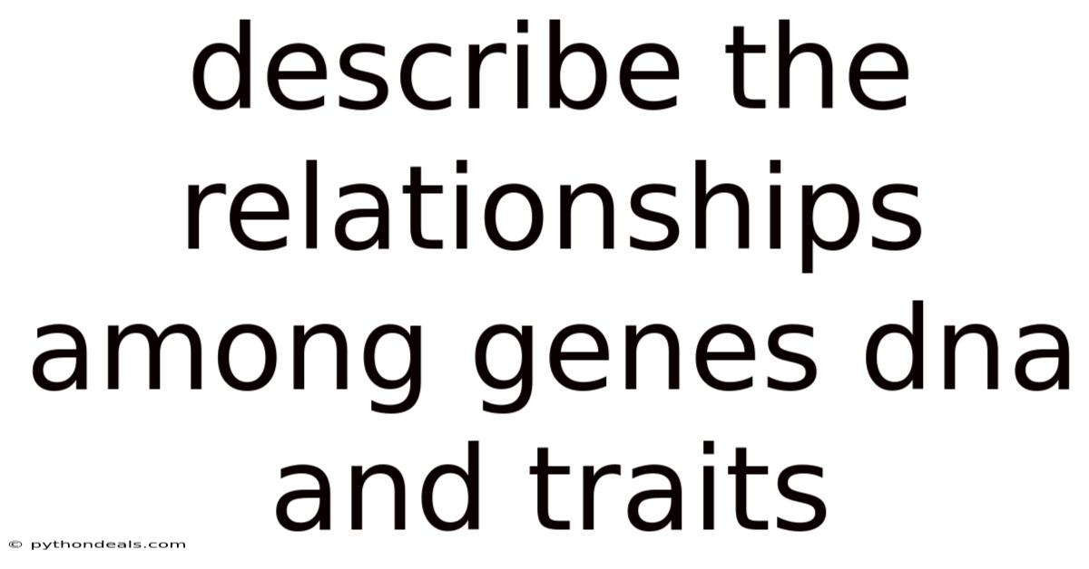 Describe The Relationships Among Genes Dna And Traits