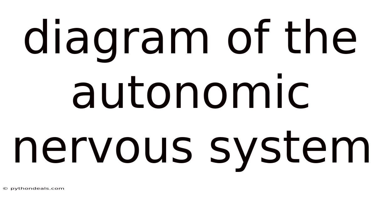 Diagram Of The Autonomic Nervous System