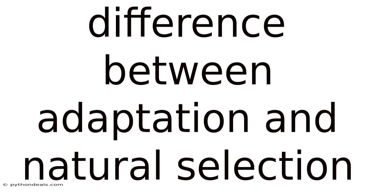 Difference Between Adaptation And Natural Selection