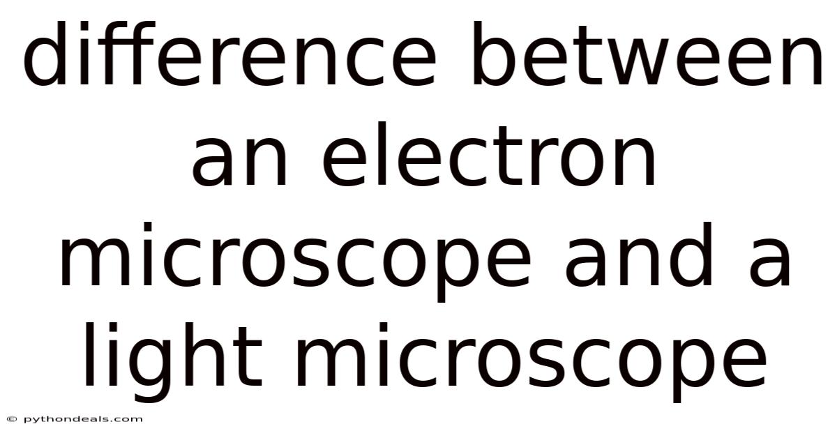 Difference Between An Electron Microscope And A Light Microscope