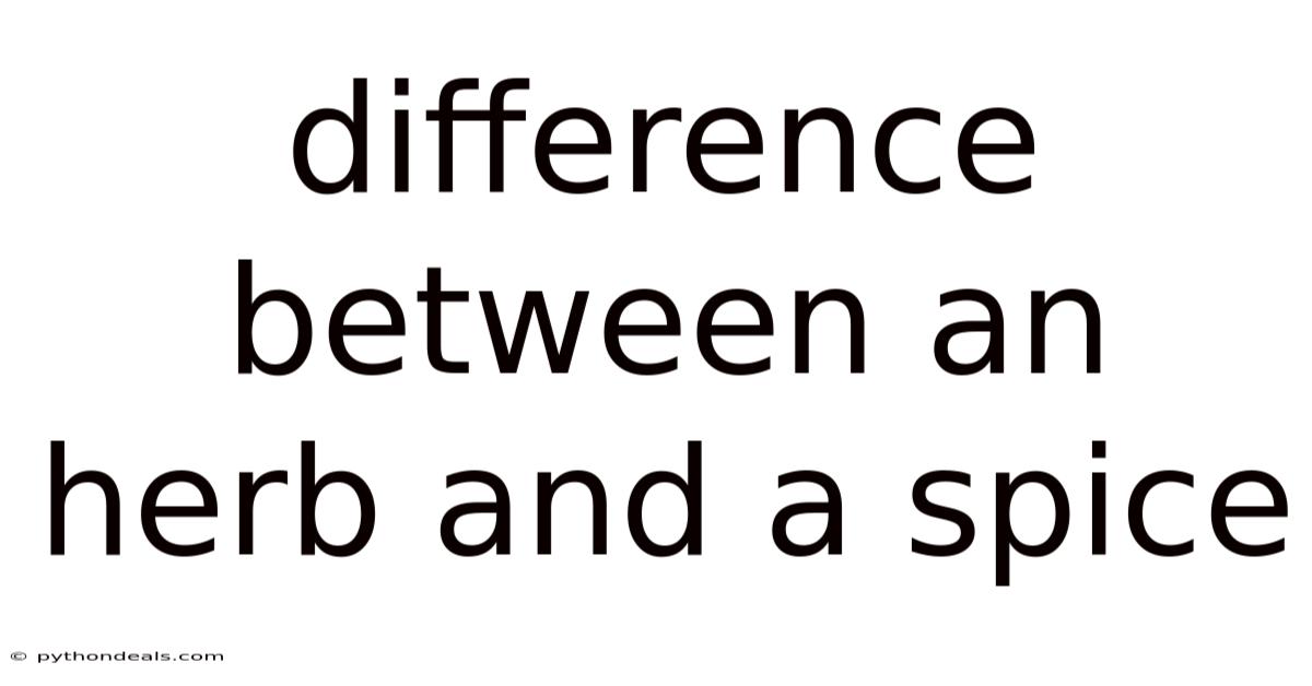 Difference Between An Herb And A Spice