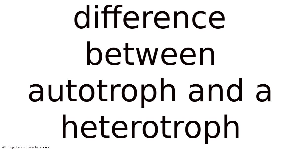 Difference Between Autotroph And A Heterotroph