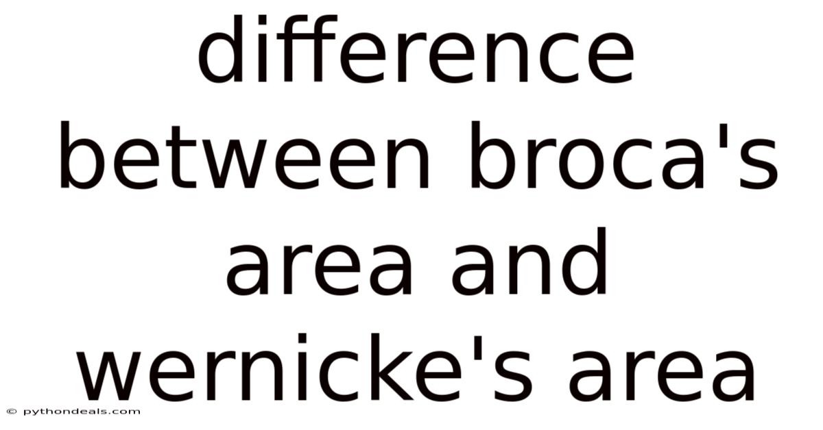 Difference Between Broca's Area And Wernicke's Area