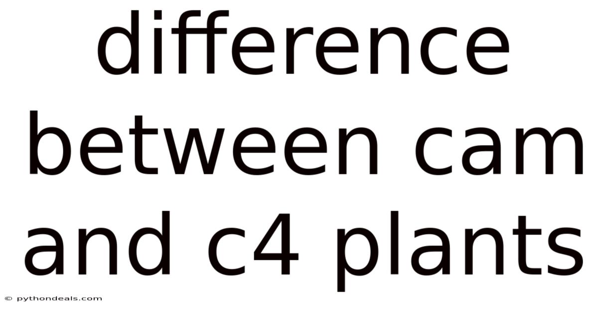 Difference Between Cam And C4 Plants