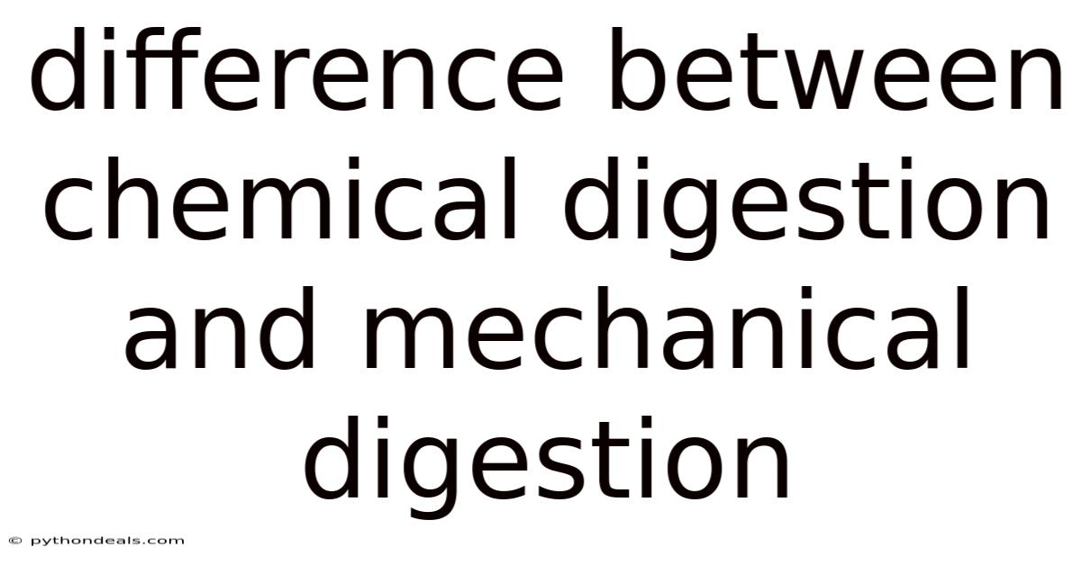 Difference Between Chemical Digestion And Mechanical Digestion