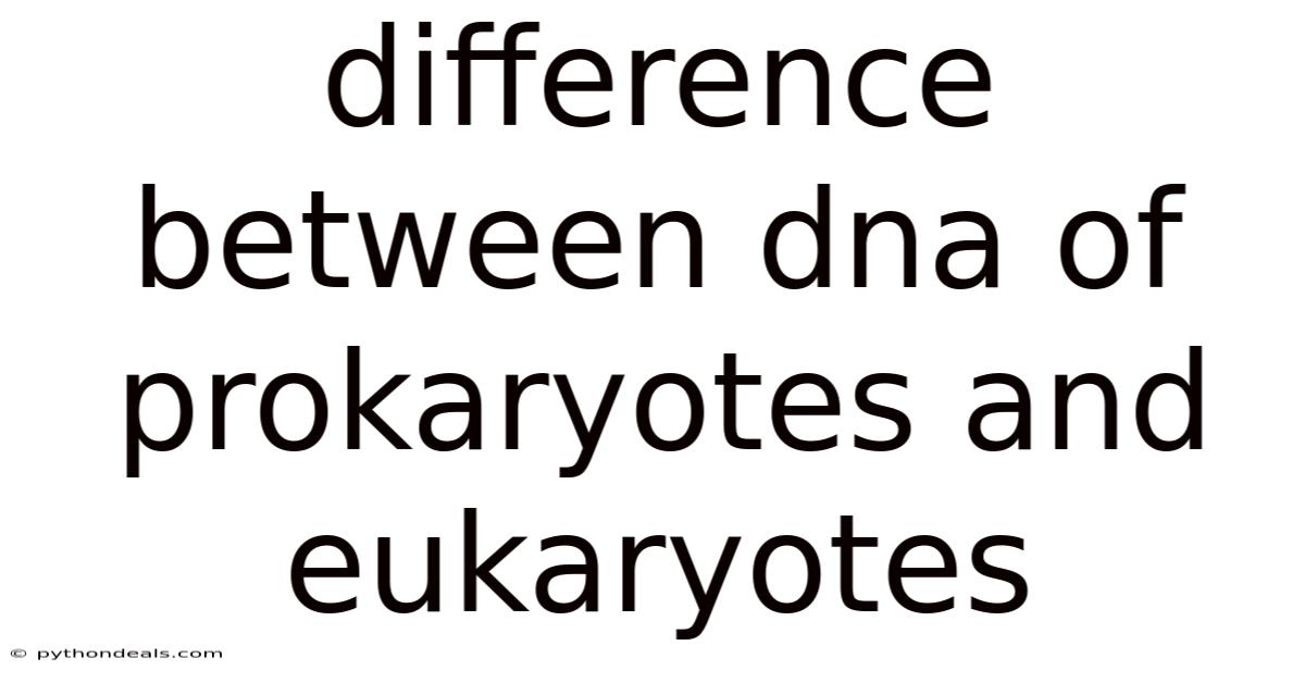 Difference Between Dna Of Prokaryotes And Eukaryotes
