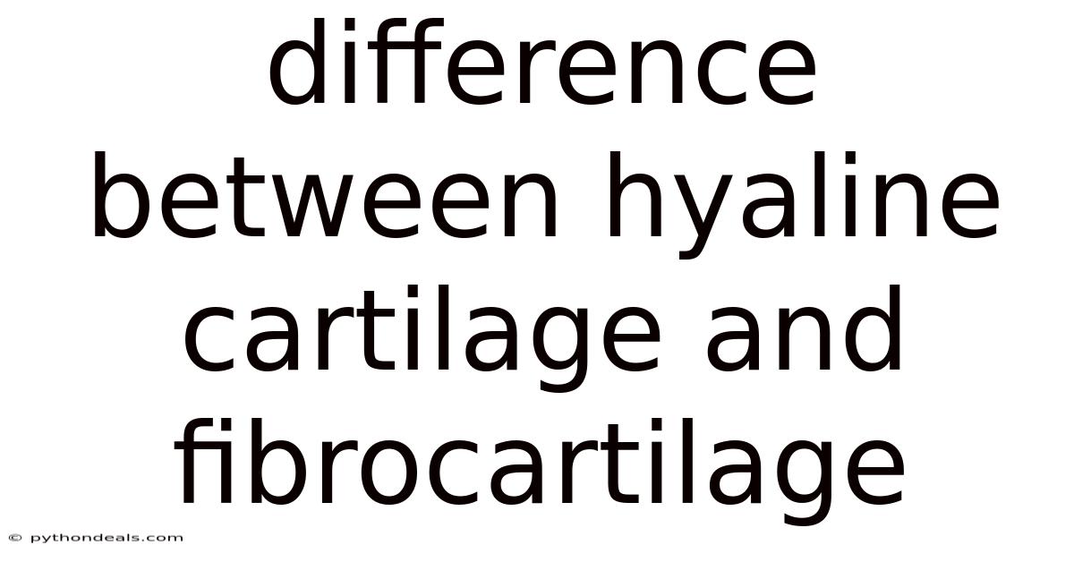Difference Between Hyaline Cartilage And Fibrocartilage