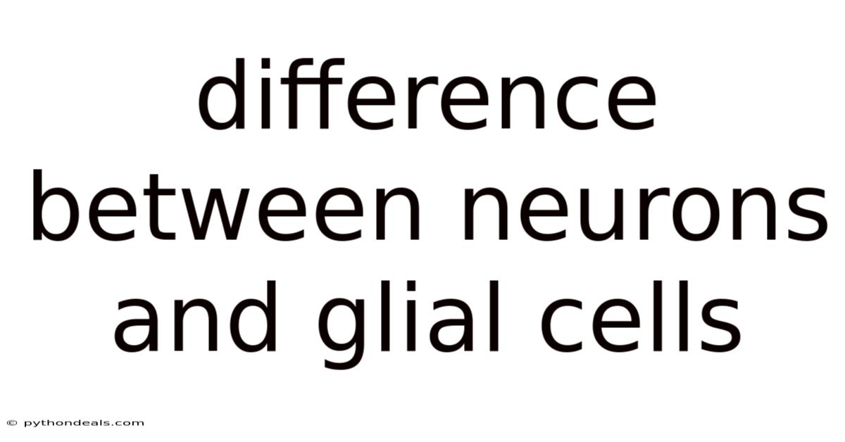 Difference Between Neurons And Glial Cells