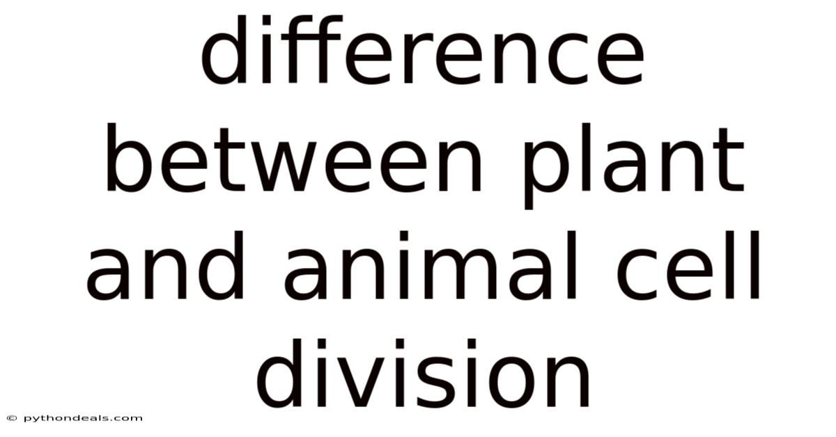Difference Between Plant And Animal Cell Division