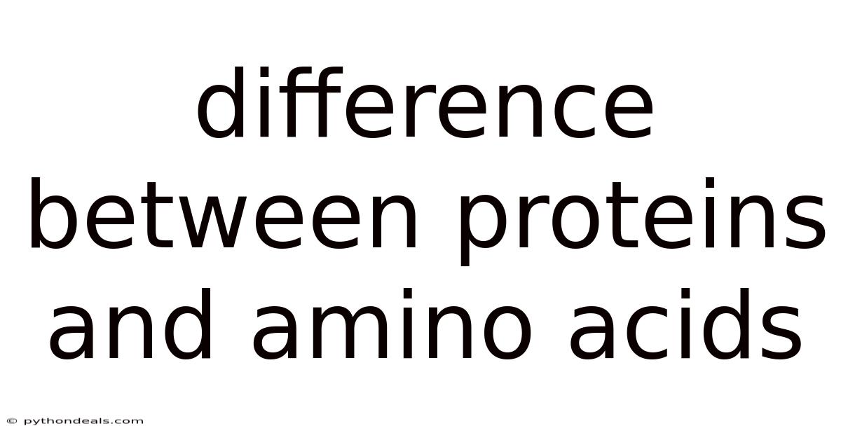 Difference Between Proteins And Amino Acids