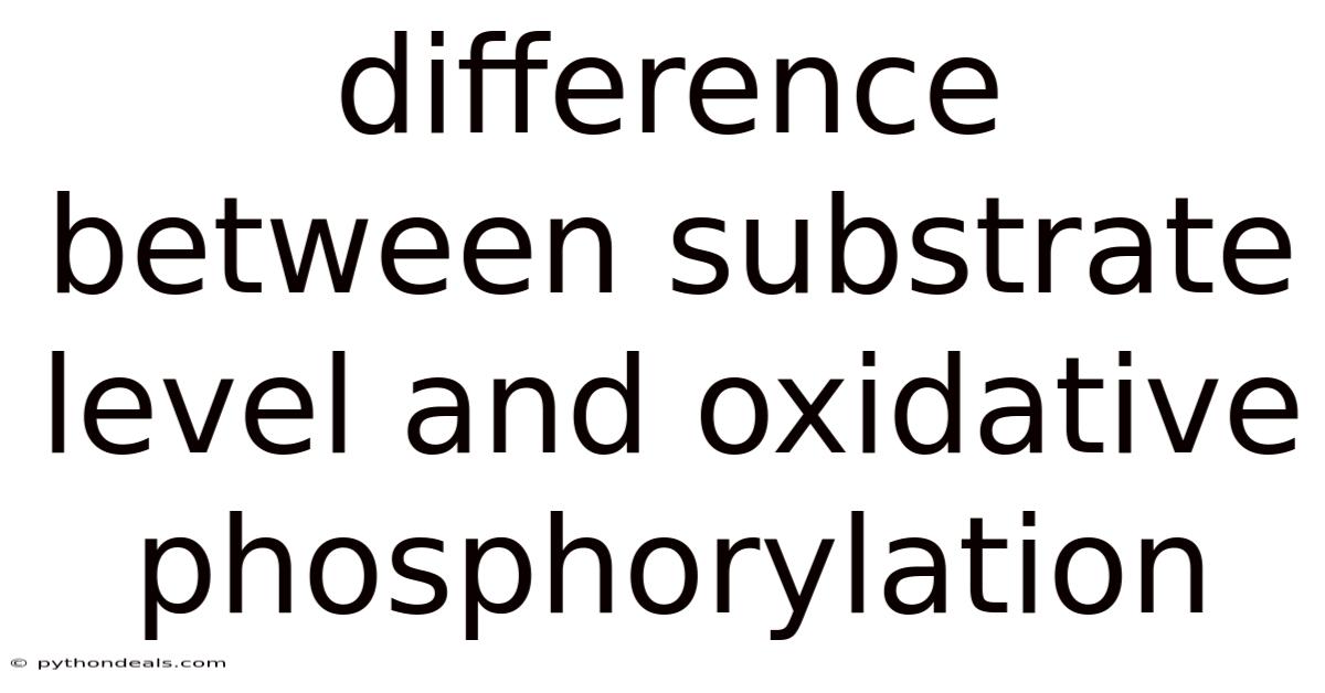 Difference Between Substrate Level And Oxidative Phosphorylation