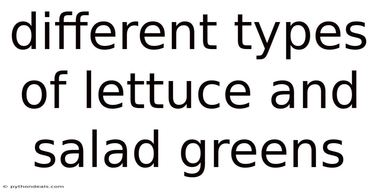 Different Types Of Lettuce And Salad Greens