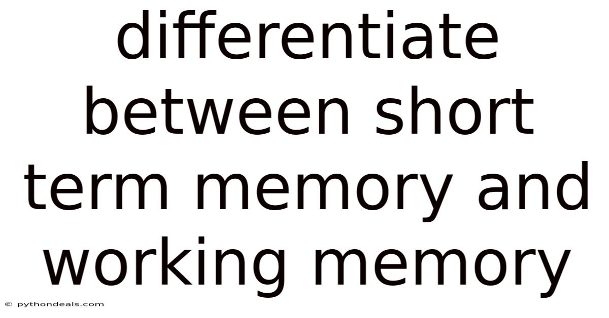 Differentiate Between Short Term Memory And Working Memory